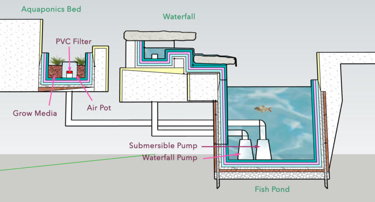 Aquaponics 101:  Building an Efficient System with a Fish Pond and Grow Bed using a Single Pump